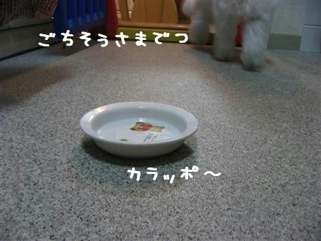 IMG_5600_R.jpg