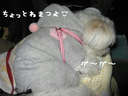 IMG_5654_R.jpg