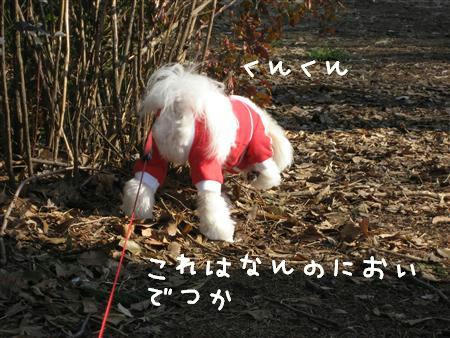 IMG_5823_R.jpg