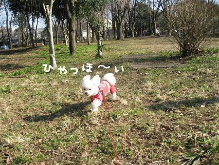 IMG_5834_R.jpg