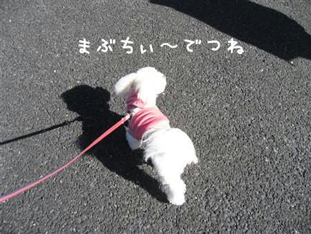 IMG_5941_R.jpg