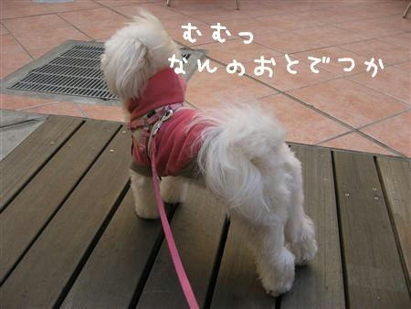 IMG_5947_R.jpg
