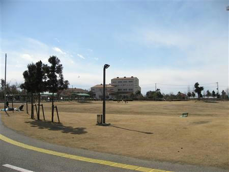 IMG_5978_R.jpg