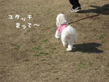 IMG_5983_R.jpg