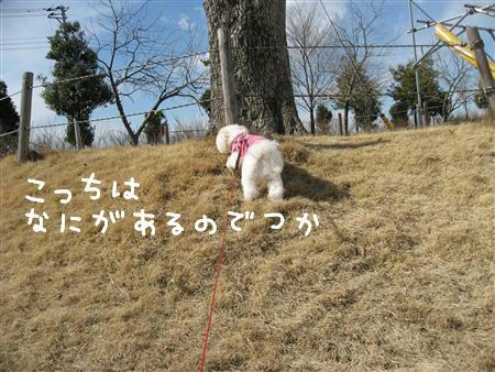 IMG_5993_R.jpg