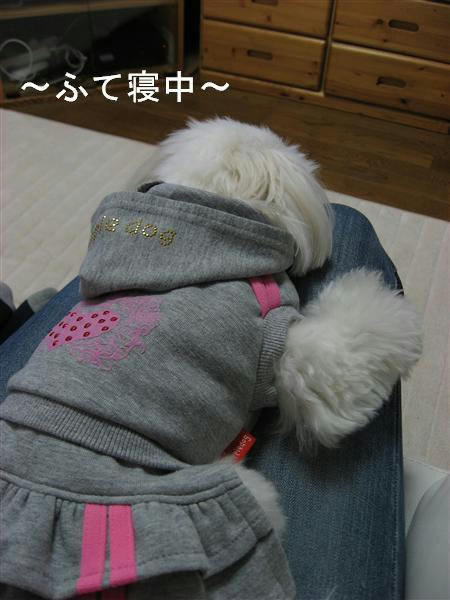 IMG_6173_R.jpg
