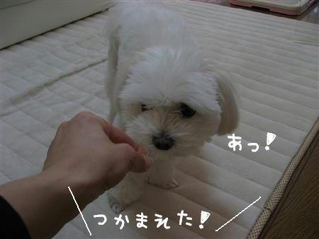 IMG_6235_R.jpg