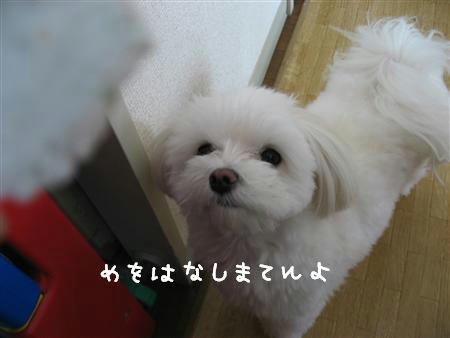 IMG_6264_R.jpg