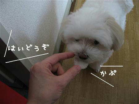 IMG_6266_R.jpg