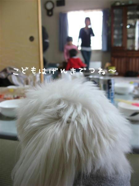 IMG_6293_R.jpg