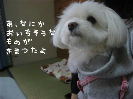 IMG_6291_R.jpg