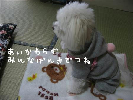 IMG_6295_R.jpg
