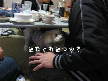 IMG_6320_R.jpg