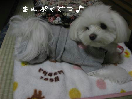 IMG_6325_R.jpg