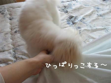 IMG_6085_R.jpg