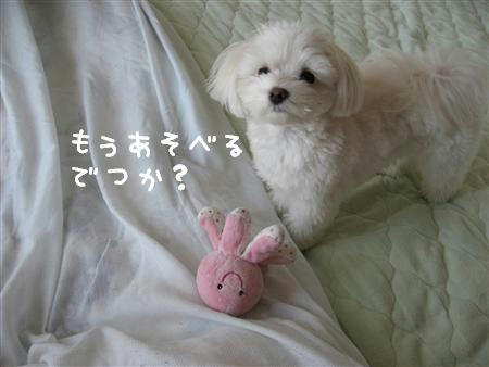 IMG_6087_R.jpg