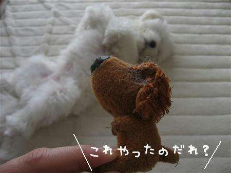IMG_6429_R.jpg