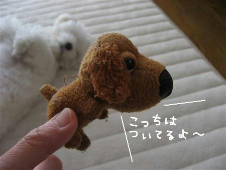 IMG_6430_R.jpg