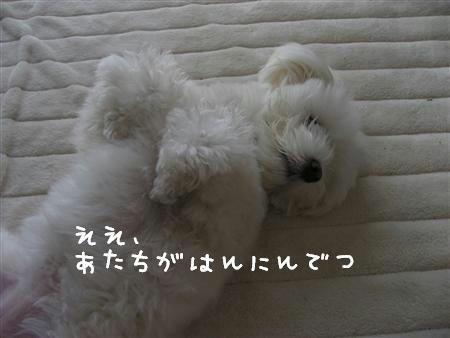 IMG_6428_R.jpg