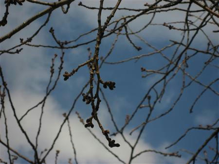 IMG_6448_R.jpg