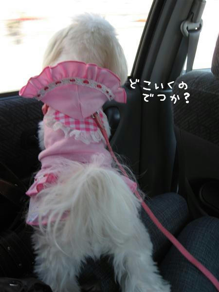 IMG_6471_R.jpg