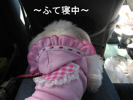 IMG_6475_R.jpg