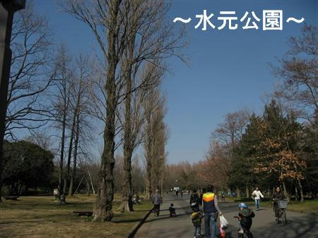 IMG_6476_R.jpg