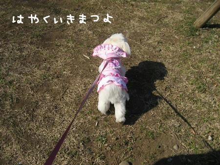 IMG_6478_R.jpg