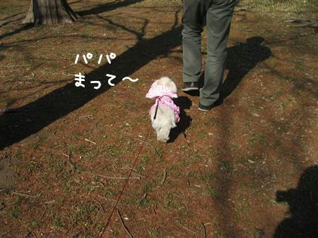 IMG_6488_R.jpg