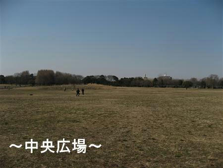 IMG_6491_R.jpg