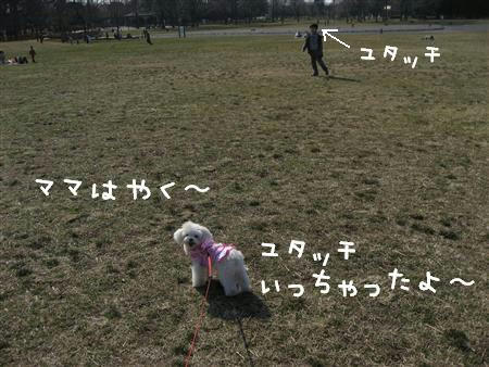 IMG_6492_R.jpg