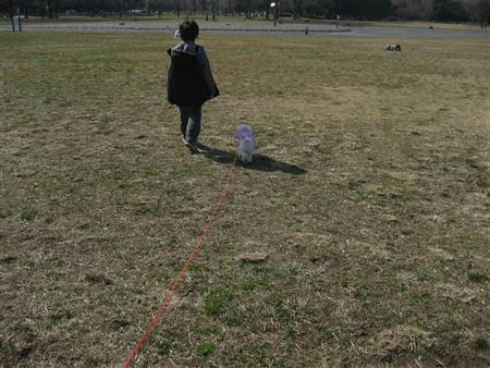 IMG_6494_R.jpg