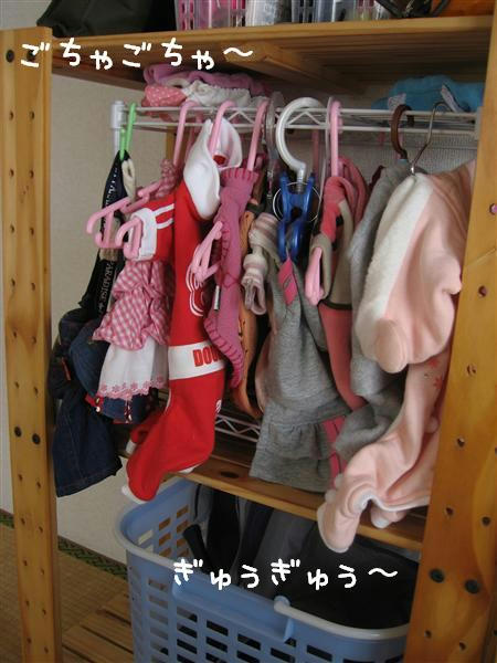IMG_6528_R.jpg