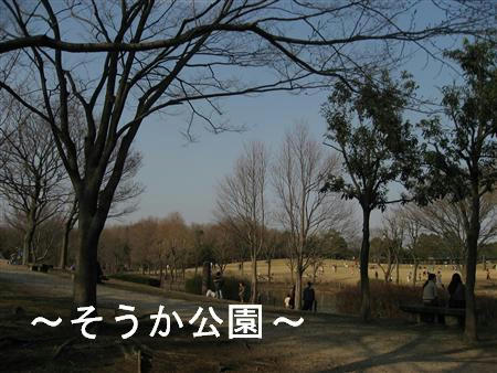 IMG_6590_R.jpg