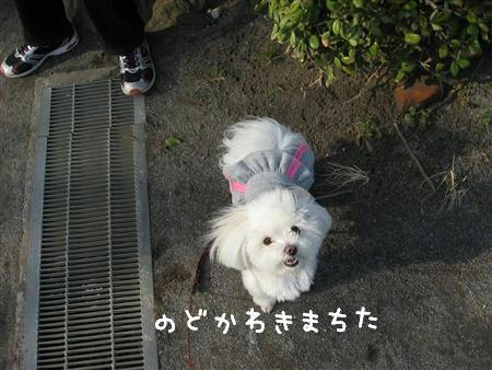 IMG_6595_R.jpg