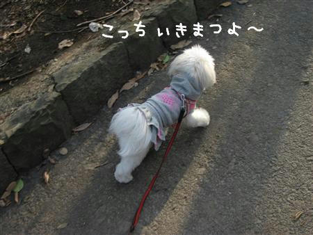 IMG_6599_R.jpg