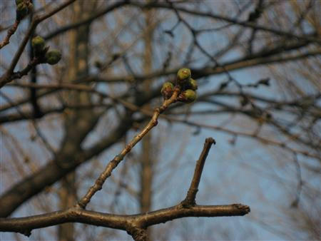 IMG_6627_R.jpg