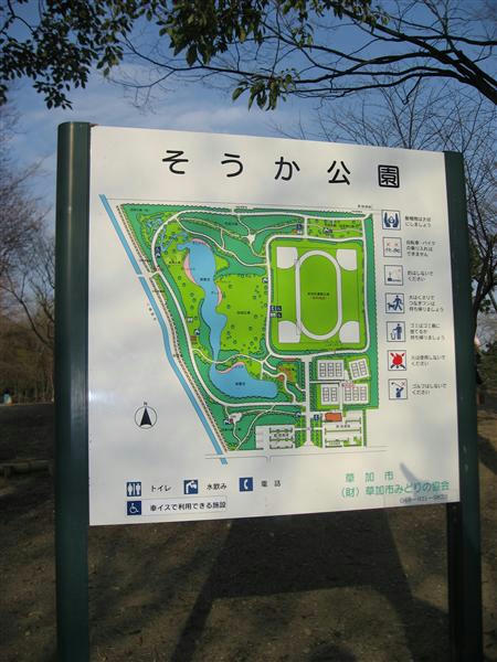 IMG_6624_R.jpg