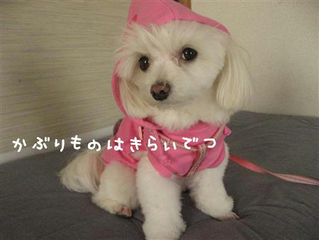 IMG_6816_R.jpg