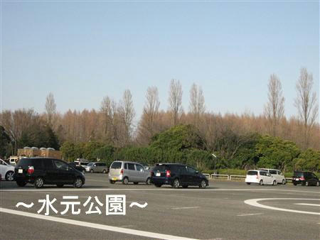 IMG_6817_R.jpg