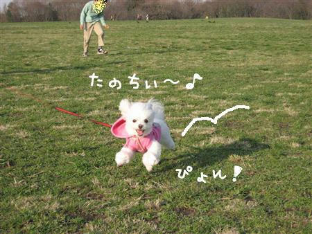 IMG_6842_R.jpg