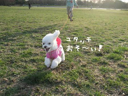 IMG_6859_R.jpg