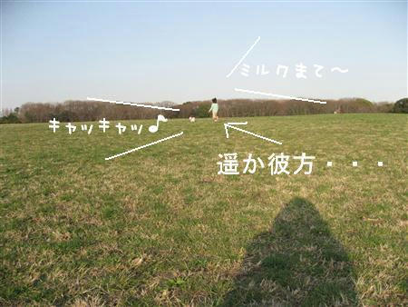 IMG_6860_R.jpg