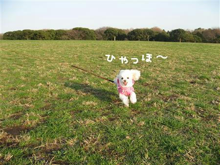 IMG_6866_R.jpg