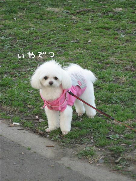IMG_6879_R.jpg