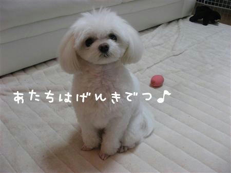 IMG_6924_R.jpg
