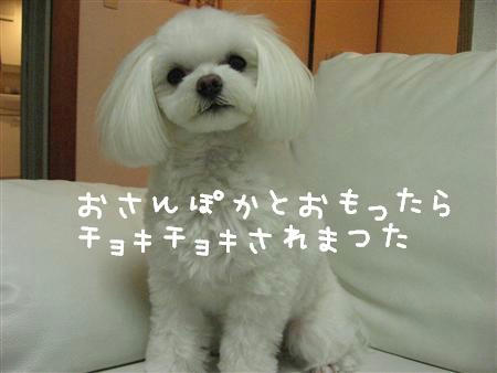 IMG_6943_R.jpg