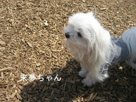 IMG_6998_R.jpg