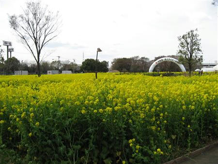IMG_7024_R.jpg