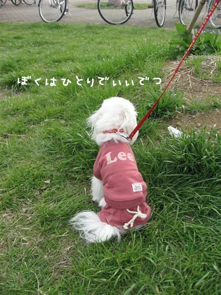 IMG_7081_R.jpg